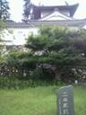 2011092312440000.JPG